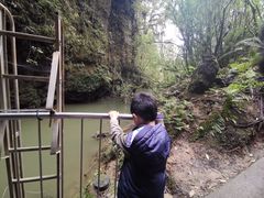 -怀托摩萤火虫洞