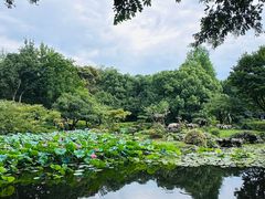 -杭州植物园
