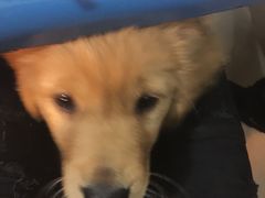 -南京医科大学-2餐厅