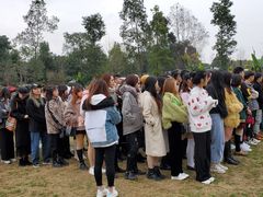 -三圣花乡旅游区