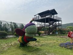 -苏州太湖西山岛开心农场