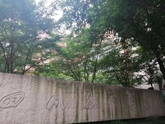 -梯坎豆花