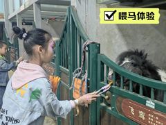 -杭州少年儿童公园