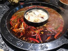 -蜀大侠火锅(建设路第五大道店)