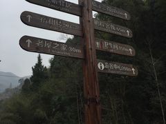-林坑古村落