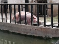 -石家庄市动物园