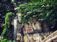 -九龙公园