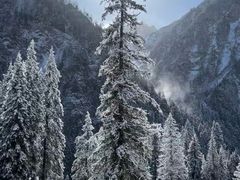 -白马王朗自然风景区