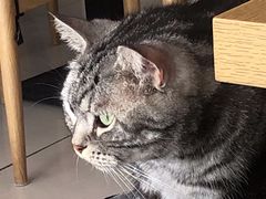 -平行世界·猫咖(首经贸店)