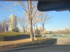 -绿岛公园(滨海新区)