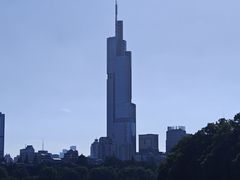 -紫峰大厦