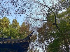 -西园戒幢律寺