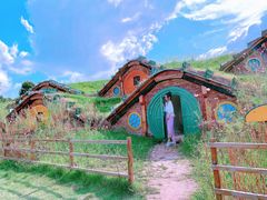 -武汉紫薇都市田园