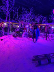 -圣名游乐城冰雪大世界