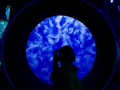 -成都浩海立方海洋公园