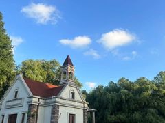 -上海共青森林公园