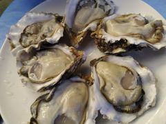 深海黄金蚝-千岛蚝高压锅生蚝·人参火锅(白云万达店)