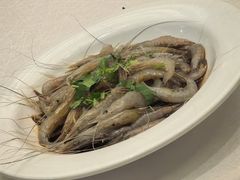 -苏启渔港(云南北路店)