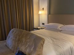 -四川江油戴斯大酒店