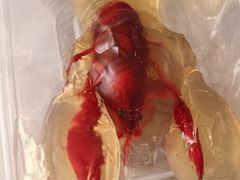 -王红军龙虾(新民路店)