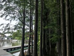 -采石矶景区