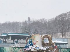 -洛阳麦盛斋糕点店(中州路店)