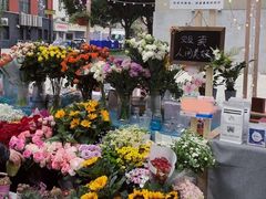 -循礼门鲜花花市(武汉循礼门店)