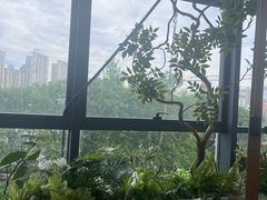 -肆季荟·SEASONS(江苏电视塔店)