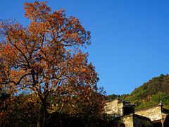-塔川景区