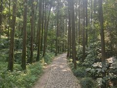 -狼山风景名胜区