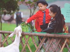 -太阳岛度假酒店