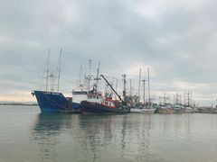 -Steveston Pizza Company (Richmond)