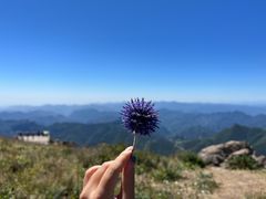 -白草畔自然风景区
