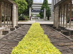 -云南师范大学(一二一西南联大校区)