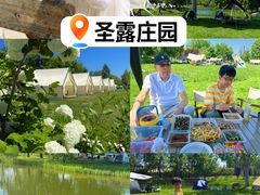 -圣露庄园·露营·烤肉·亲子