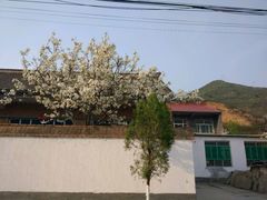 -山西通天峡景区