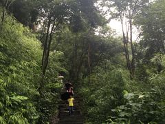 -修水东浒寨风景区