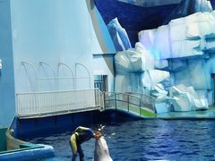 -福州罗源湾海洋世界旅游区