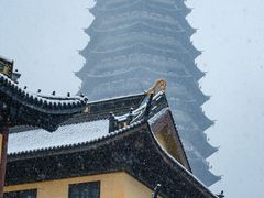 -红梅公园