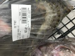 -盒马渔市(平高企业集团·平高广场店)