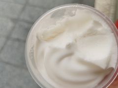 椰子雪糕-洪馨椰子