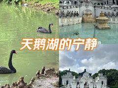 -珠海圆明新园