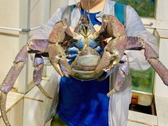 -海盗餐厅
