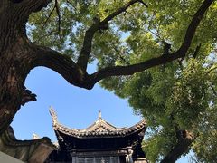 -惠山古镇·寄畅园