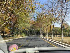 -钟山体育运动公园