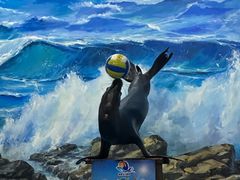 -左海海底世界