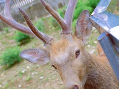 -泉州海丝野生动物世界