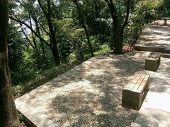 -金鸡山公园