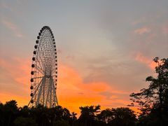 -凤岭儿童公园