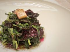 松茸高山豆苗-新光酒家·河豚·海鲜·蟹料理(浦东店)